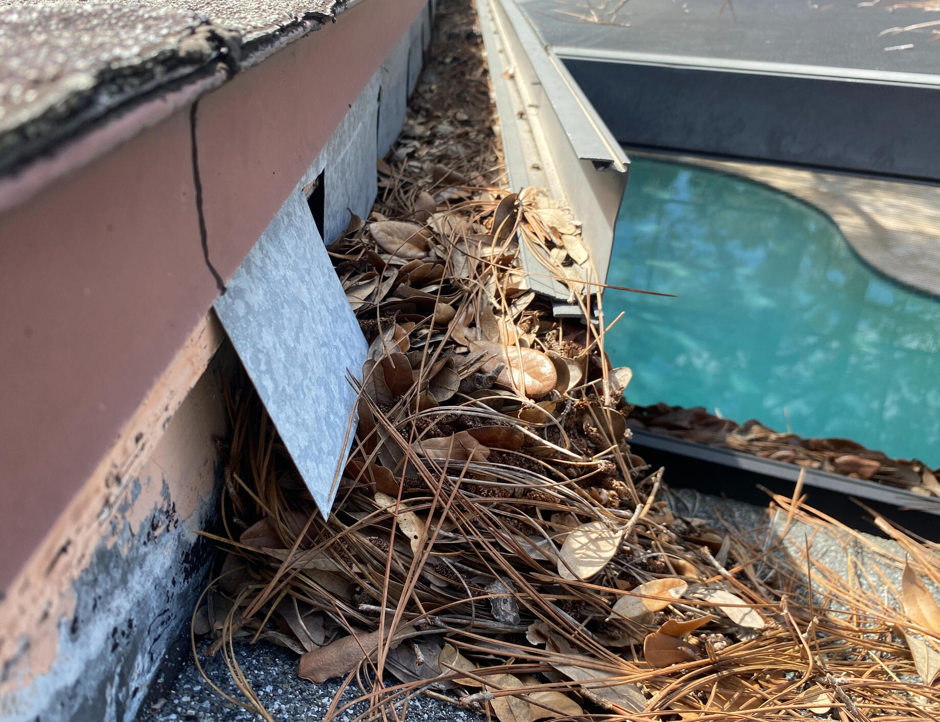 Roof line with installed rain gutter and downspout system